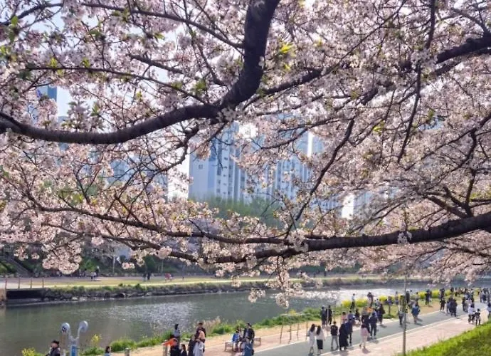 Torry House Pousada Busan